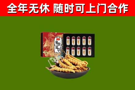 龙泉市回收冬虫夏草价格